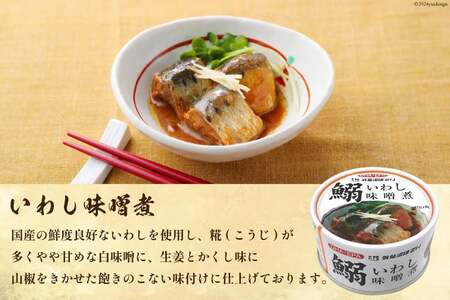いわし味噌煮 170g×24缶【DHA・EPA・長期保存可能】 [気仙沼市物産振興協会 宮城県 気仙沼市 20565211]