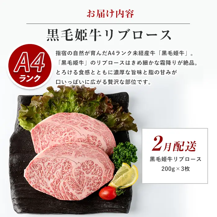 全5回定期便 大満足 ステーキ三昧 定期便 Meat you IBZ029-001 牛肉