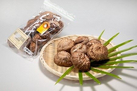 乾燥シイタケ詰め合わせ 原木栽培 天然 しいたけ 京都 京丹波町産 椎茸 [010TS001]