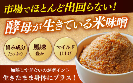 【先行予約】味噌 米みそ 味噌汁 【2kg】 [ABAF021] 国産
