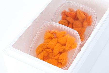 エゾバフンウニ塩水パック50～60g×2P A-81022
