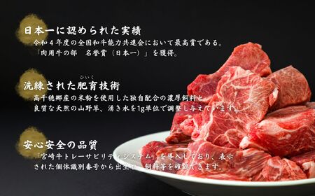 宮崎県産黒毛和牛A4等級以上 高千穂牛すね肉　800g 牛肉 肉 お肉 牛すね肉 国産牛 ブランド牛 和牛 牛肉 国産 パック 冷凍 料理 煮込み料理 ビーフシチュー おでん おかず _Tk002-074