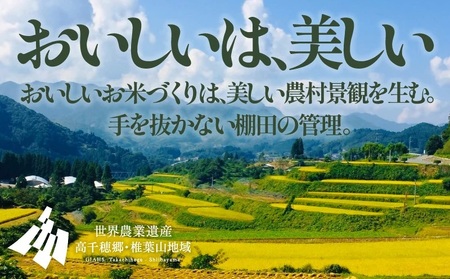 【令和7年産】13代目甲斐長衛門が選び抜いた 高千穂産 ひのひかり 長衛門米 5kg ヒノヒカリ お米 精米 白米 米 白ご飯 ごはん おにぎり おむすび 米袋 農作物 令和7年 国産 宮崎県産 高千穂町産 普段使い おすすめ お取り寄せ 特産品 _Tk019-028