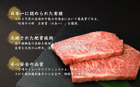 宮崎県産黒毛和牛A4等級以上 高千穂牛サーロインステーキ 250g×2枚 計500g 牛肉 肉 お肉 サーロイン ステーキ ステーキ肉 ブランド牛 和牛 国産牛 国産黒毛和牛 贈り物 贈答 ギフト プレゼント お祝い 内祝い グルメ 記念日 _Tk002-063