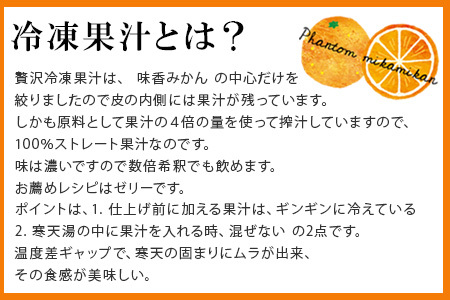 飲み比べ 冷凍果汁2種×各5個(合計10個) 味香みかん 柑橘 ジュース 飲料 ミカン ストレート フルーツ 詰合せ