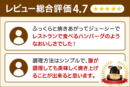 佐賀牛入り 熟成 ハンバーグ 約120g×20個 179-J1885