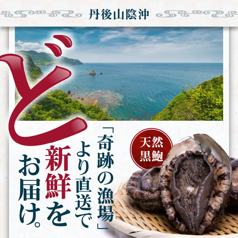 天然黒あわび合計1kg！活けあわび｜鮑