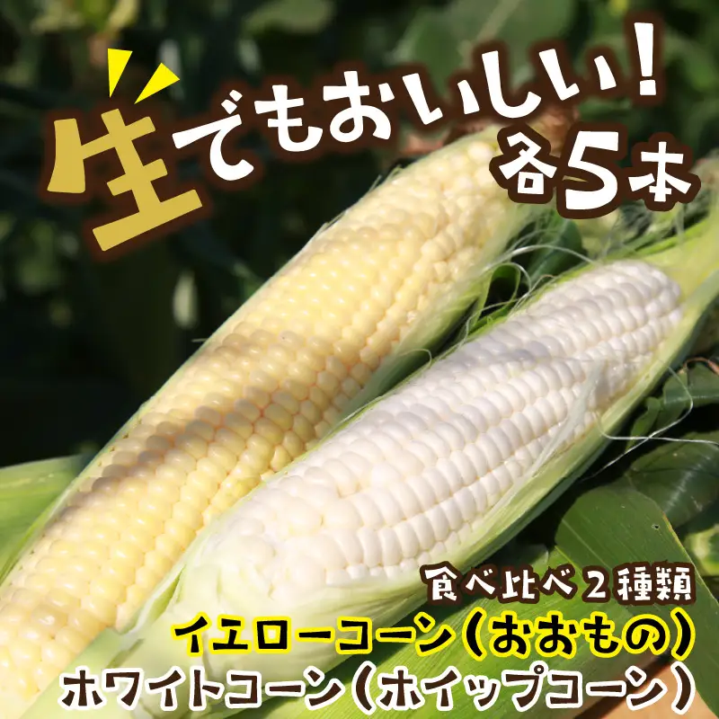【先行予約】とうもろこし 食べ比べ 計10本 トウモロコシ