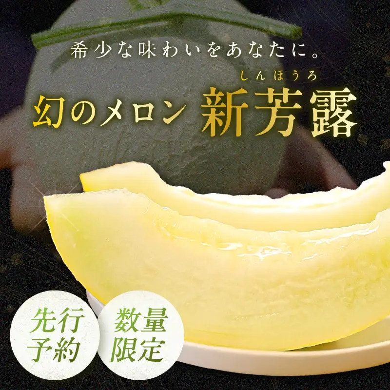 幻のメロン 新芳露 1玉 京丹後産メロン
