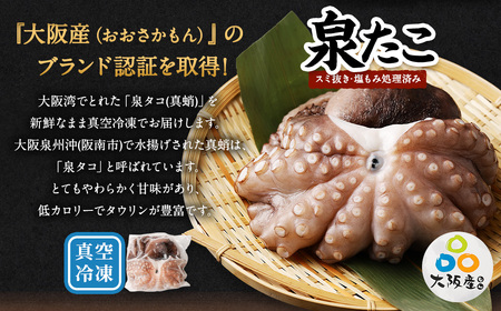大阪産 泉タコ（生たこ）650g（1杯～3杯）と 茎わかめ佃煮 180g セット 魚介類 海鮮 タコ わかめ 冷凍