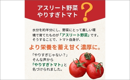 高糖度やりすぎトマト 約1kg | 夏発送 トマト
