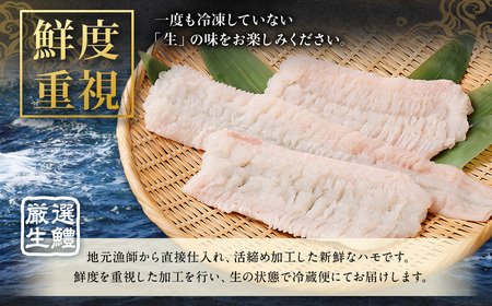 のぞみ 活〆 骨切り 生鱧 700g 【2026年5月上旬から12月上旬発送予定】はも ハモ 鱧 活締め 生はも はも鍋 天ぷら