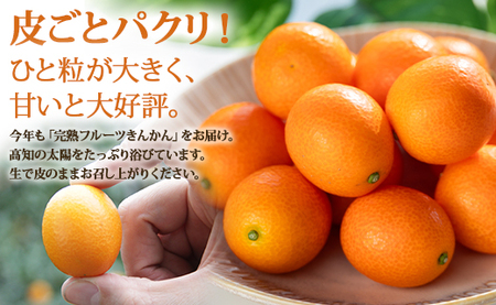 【先行受付】きんかん 約1kg 完熟 きんかん ku-0032