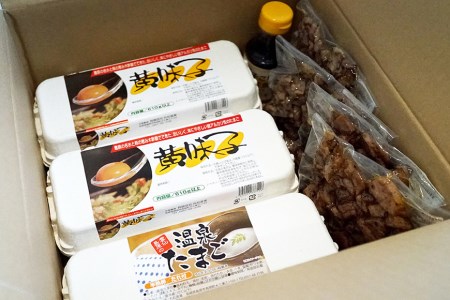 AE139 島原のたまご 黄味子Ｄセット (卵10個入×2パック,温泉たまご10個入×1パック,やきとり塩焼き・タレ焼き(180g)×各1,玉子ごはん用醤油×1本)　[ 長崎県 島原市 ]