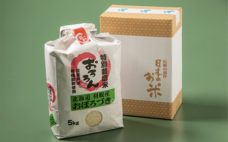 【2025年産】 北海道羽幌産 特別栽培米 おぼろづき5kg【0811802】