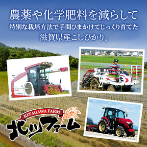 米 高級もち米 3kg 令和7年産 お米 こめ コメ おこめ 餅米 