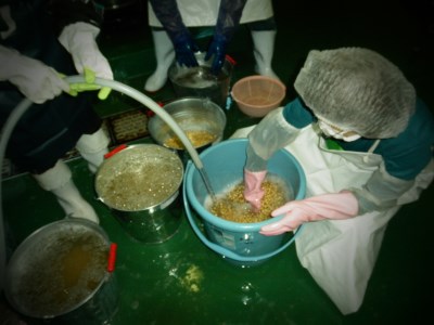 小淵沢味噌　「延命味噌」「米糀味噌」２点おためしセット(400g×2) [h105]