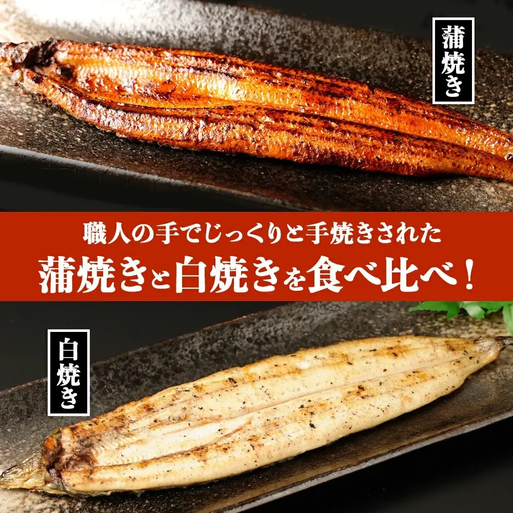 鹿児島県大隅産　千歳鰻の白焼4尾・蒲焼き4尾｜うなぎ うなぎ