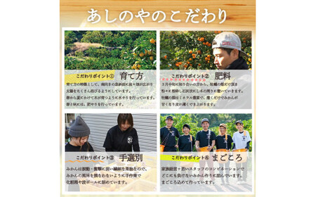 【2027年先行予約】和歌山県産 有田の八朔 (はっさく) 約10kg【S～Mサイズ混合】まごころ手選別 _ZE6151n