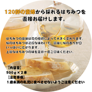 富田養蜂園 桜のはちみつ（500g×2本）