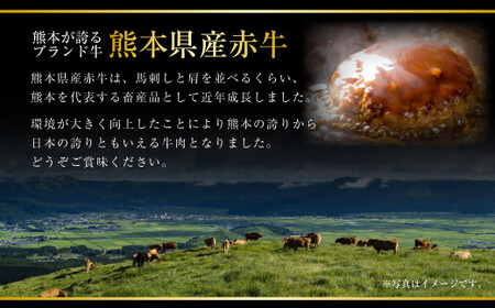 肥後のあか牛 ハンバーグ 1.5kg (150ｇ×10個)  