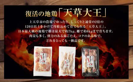 天草大王プレミアムバーべキューセット(大)