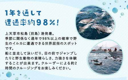 イルカウォッチング