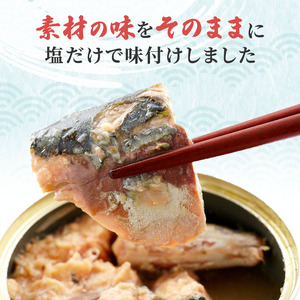 サバ缶 水煮 12缶 セット 缶詰 サバ水煮 サバ水煮缶 さば おかず 惣菜 常温保存 備蓄