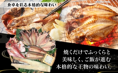 老舗干物店 干物 6種 詰合せ