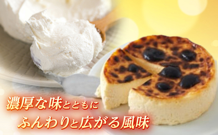 バスクチーズケーキ4号 バスクチーズケーキ [BDAJ002]