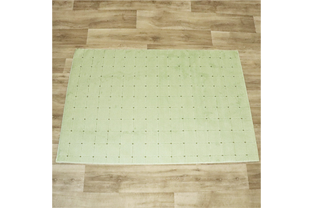 抗ウィルス、抗アレル物質、抗菌、消臭、防ダニ【PT-5】カーペット 130×190 グリーン [0917]