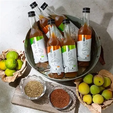 老舗酵素メーカー「大和酵素」が作る、 “本物のコンブチャ”　(280ml×12本)【1125094】