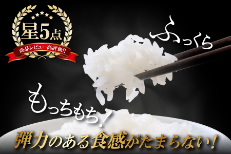 〈先行予約〉新米 令和6年産 美郷町産 特別栽培米 つや姫 10kg (5kg×2袋) 【お米 10kg 5kg×2袋 精米 白米 ブランド米 つや姫 特別栽培米 美郷町産 お米 先行予約 2024年産】