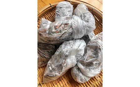 冷凍伊勢海老1kg 伊勢エビ 冷凍 漁師直送