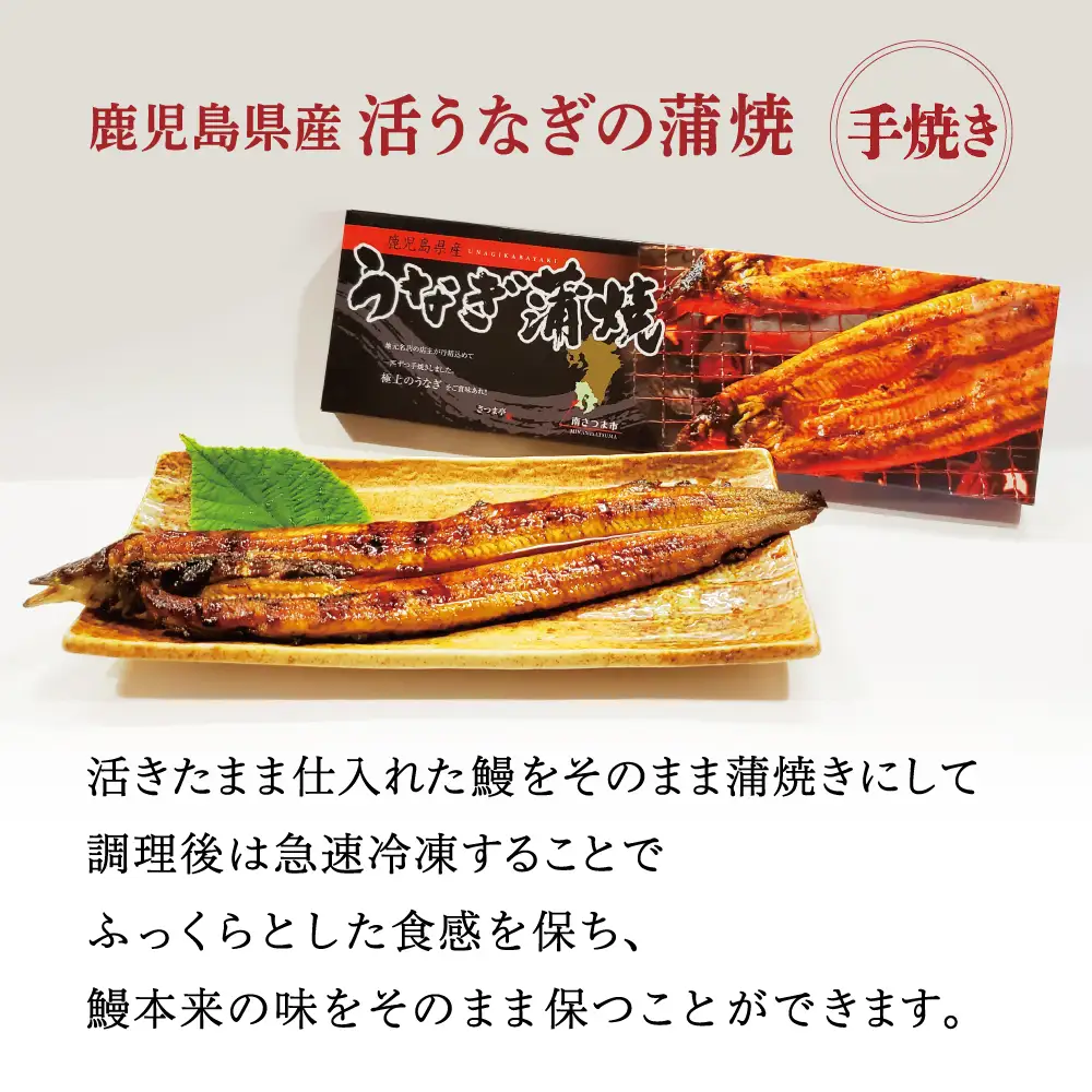 【鹿児島県産】活うなぎの蒲焼1尾 鰻 ウナギ 丑の日 グルメ うな重 うな丼 蒲焼 かば焼き お取り寄せ