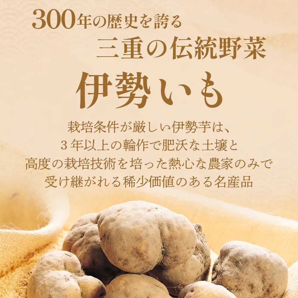 伊勢いも すりおろし 冷凍とろろ 伊勢いも 芋 イモ とろろ 伊勢芋 とろろ芋 すりおろし 野菜 農作物 お手軽 とろろ汁 ご飯 そば つけ汁 健康 稀少 名産品 簡単 便利 個包装 粘り 冷凍 三重県 多気町 HK-01