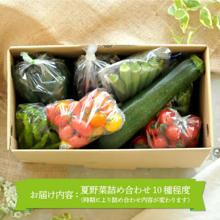 《令和8年分》数量限定！季節のお野菜詰め合わせ 夏(配送時期：7月～8月)【01017】