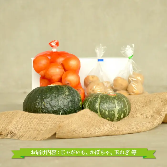 《令和8年分》数量限定！季節のお野菜詰め合わせ 秋(配送時期：9月～10月)【01018】