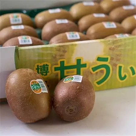 【先行受付】福岡限定!ブランドキウイ「甘うぃ(あまうぃ)」約3kg箱(24-30玉)(大野城市)_キウイ キウイフルーツ フルーツ 果物 くだもの ふるーつ 青果 国産 産地直送 ブランド 福岡 高糖度 送料無料 贈答_【配送不可地域：離島】【1125951】