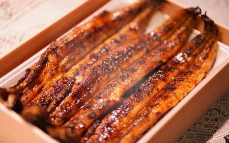 ふんわり手焼き国産うなぎ（約200g） 1尾 手焼き 国産 鰻 ウナギ