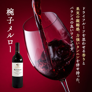 ワイン 椀子ヴィンヤードを味わう 定番 2本 セット 赤ワイン 白ワイン 酒 アルコール