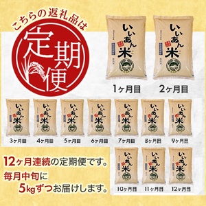 SN0025　【12回定期便】無洗米ひとめぼれ　5kg×12回(計60kg)　農家直送『いいあん米』AG