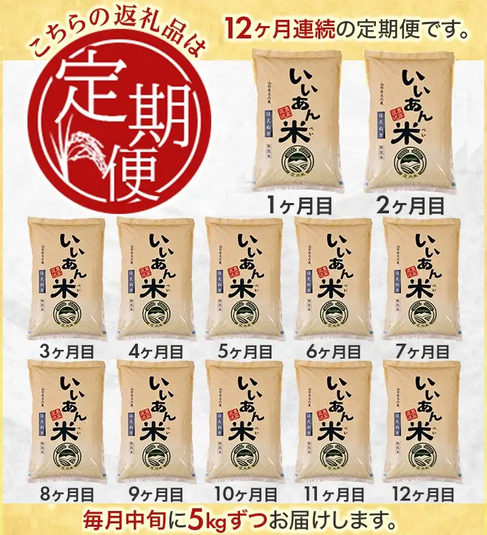 SN0024　【12回定期便】無洗米はえぬき　5kg×12回(計60kg)　農家直送『いいあん米』AG