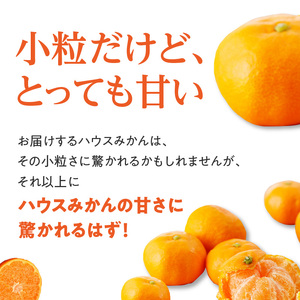 ★予約受付★【2026年6月以降配送】佐賀県産ハウスみかん　約1.5kg ／ みかん【A097】