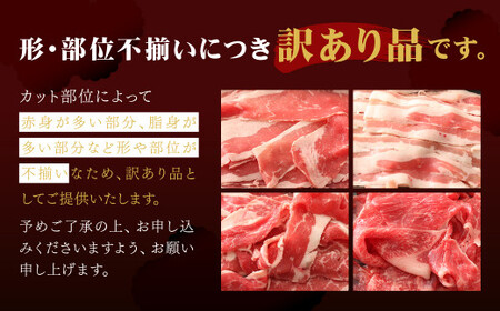 【TVで話題のカレー付き!!】 訳あり 博多和牛 切り落とし1.2kg＋「博多和牛の黄金カレー」1食付き セット