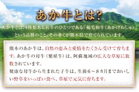 熊本の和牛 熊本県産あか牛ローストビーフ500g×2個 熊本あか牛 赤牛 あかうし 《30日以内に出荷予定(土日祝除く)》