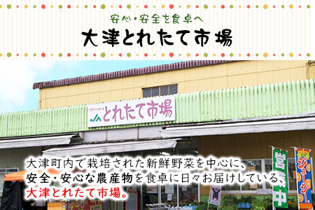 熊本県大津町産 季節の野菜セット(6～8種類)《60日以内に出荷予定(土日祝除く)》野菜 冷蔵 JA菊池 大津中央支所 とれたて市場