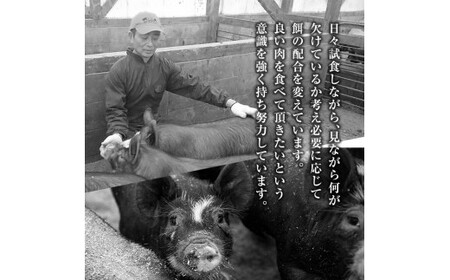 豚肉 薄切り 小分け 計3kg 200g×15パック【米平種豚場ふくふく黒豚の里】B-119