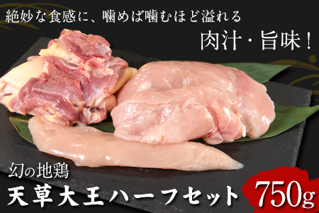 天草大王　ハーフセット《60日以内に出荷予定(土日祝除く)》約750g【幻の地鶏】もも・むね・ささみ各1枚 熊本県産 あそ大王ファーム株式会社