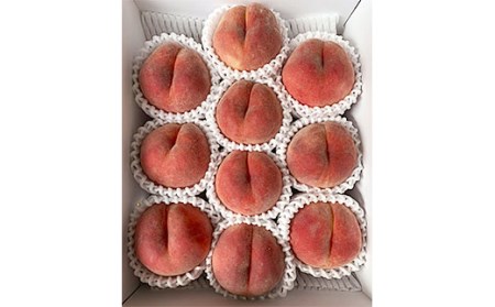 山形市産 桃 秀3kg(5～13玉)[柔らかくなる桃] 【令和8年産先行予約】FU20-062 くだもの 果物 フルーツ 山形 山形県 山形市 2026年産